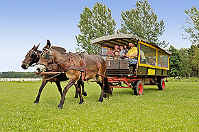 Urlaub ber Pfingsten in Templin am Lbbesee, Pfingsturlaub in der Uckermark